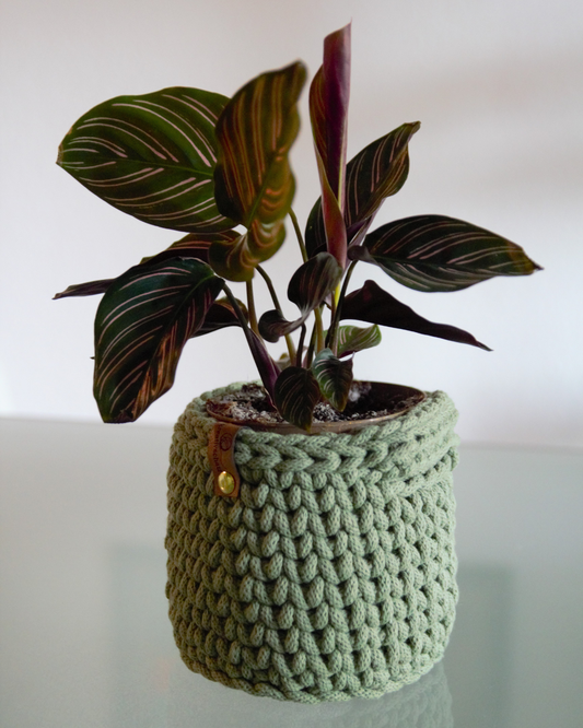 Handgemacht für dein Wohlfühlzuhause.

Ein kleiner Korb mit ganz viel Herz: liebevoll gehäkelt, stabil im Griff und einfach wunderschön anzusehen. Häng ihn an die Wand, stell eine Pflanze hinein oder nutze ihn für all die kleinen Dinge, die sonst keinen Platz finden.

Jeder Korb wird aus 5 mm Garn gefertigt, robust, formschön und mit Liebe gemacht. Erhältlich in Eucalyptus Green, Nude und dem wunderschönen Blush (da Lavender vom Foto ausverkauft ist). Einfarbig oder kombiniert. 

Der Häkelkorb aus 100% recy